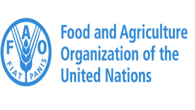 FAO Environmental and Social Risk Assessment Specialist Vacancies