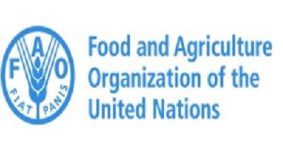 FAO National Programme Support Specialist Vacancies